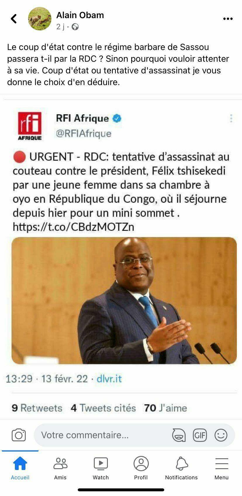 Capture d'écran d'une des publications relayant cette fausse information. 17/02/2022.