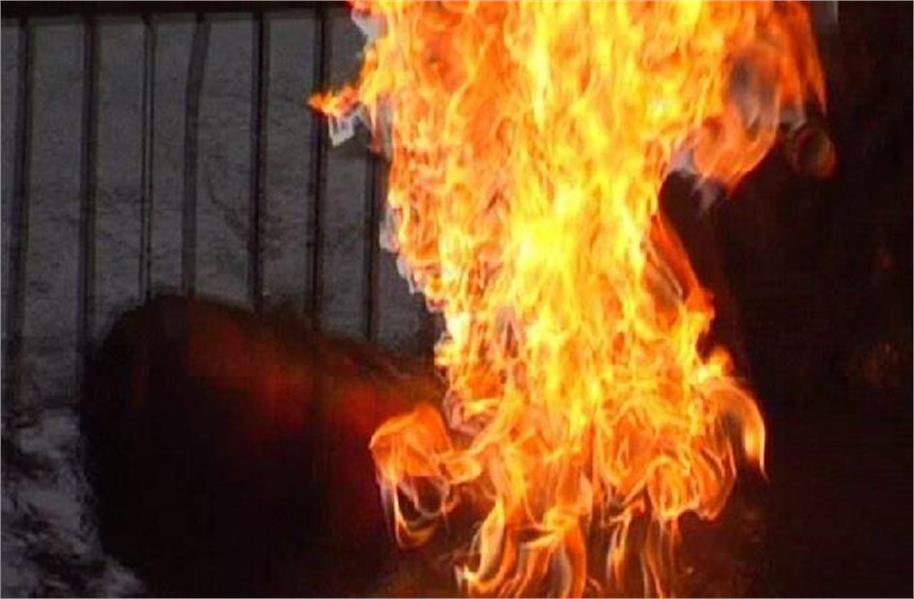 a4bd123bf6031a7e5a3eb34acfcf3610?source=nlp&quality=uhq&format=webp&resize=720