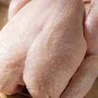 Costco shopper makes 'disgusting' discovery after biting into rotisserie chicken