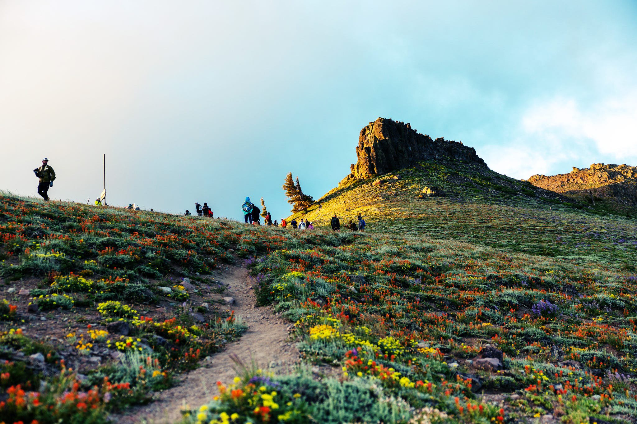 Hikers ascending a flower-covered hillside with a rocky outcrop in the background under a partly cloudy sky.