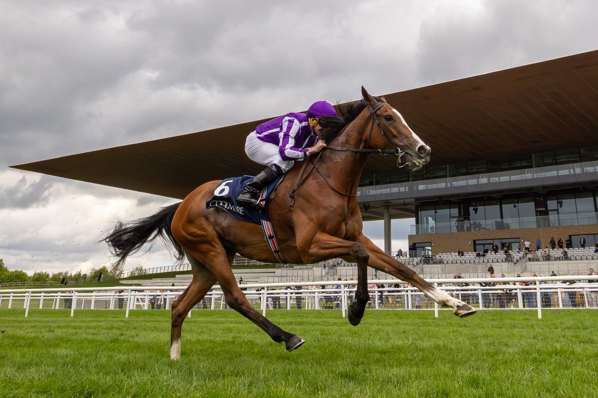 Minnie Hauk: bounced back to form at Ascot