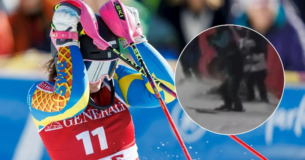 Ski-Ass raste bei Horror-Crash in Gruppe von Trainern