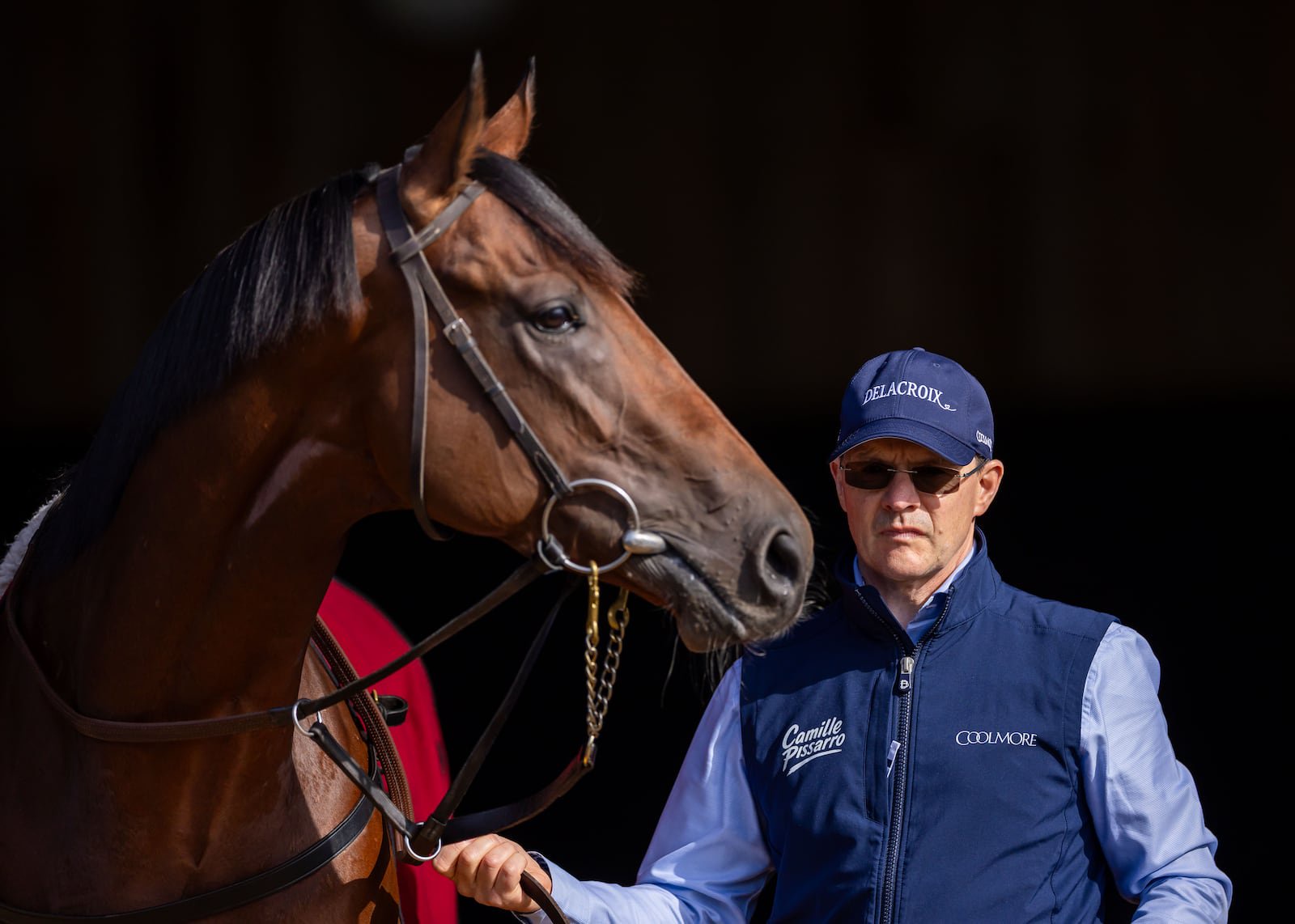 Constitution River will run in the Champion Stakes at Ascot on Saturday. Photograph: Morgan Treacy/Inpho