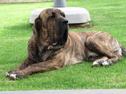 a68198eac02d0ffedd9565d6ffc0b8a7?quality=uhq&format=webp&resize=720