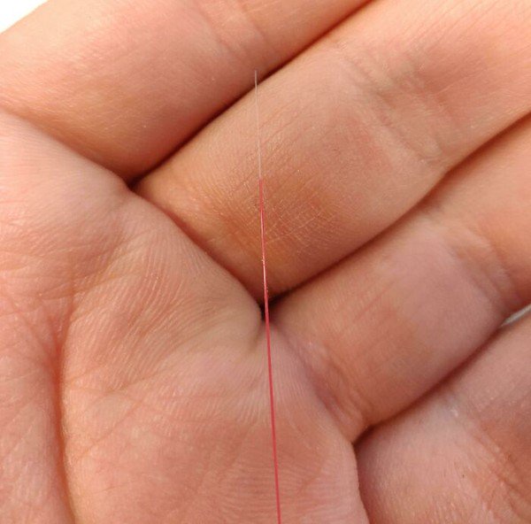 Foto Unik da Aneh di dunia