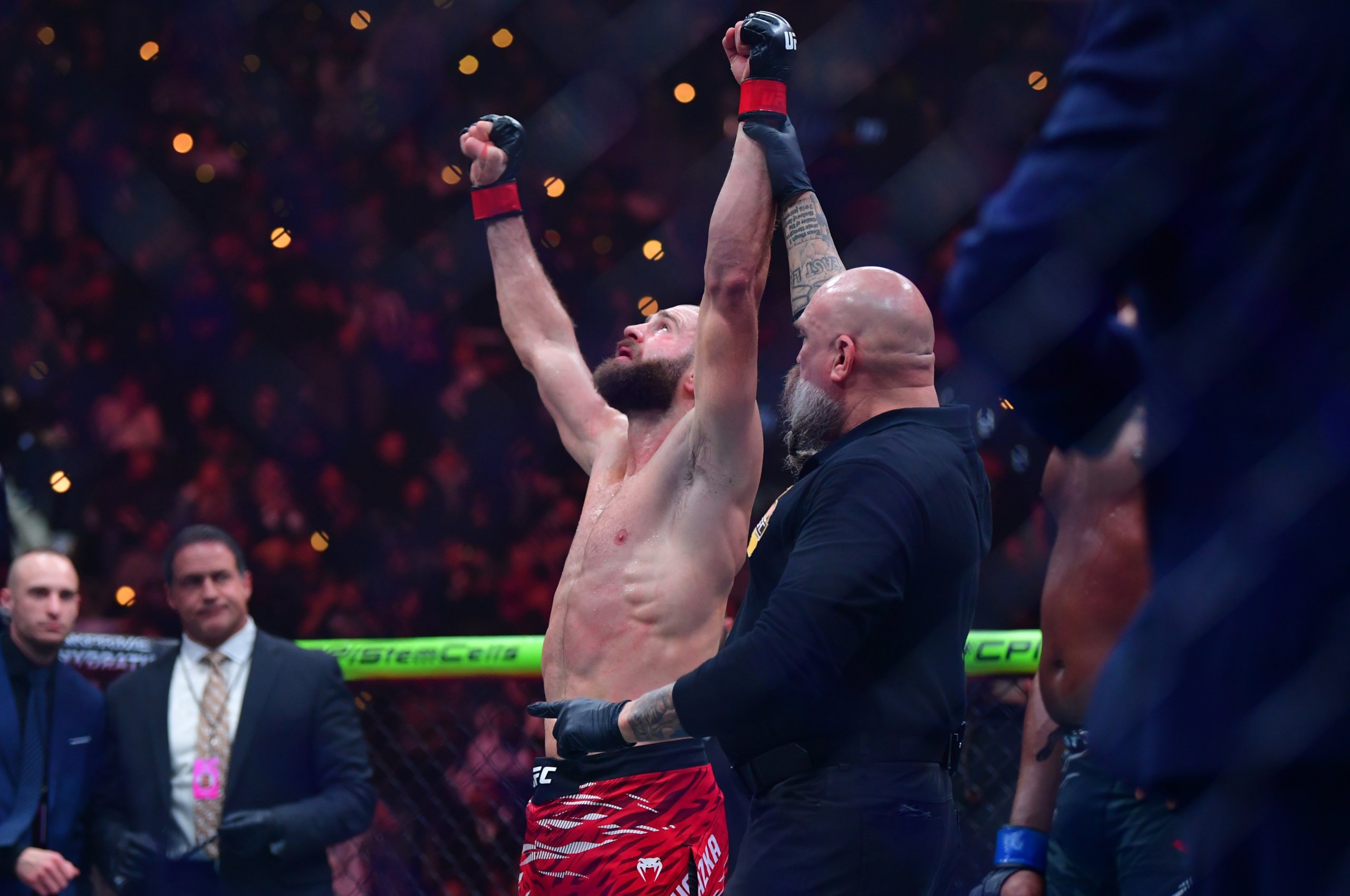 ufc light heavyweight rankings
