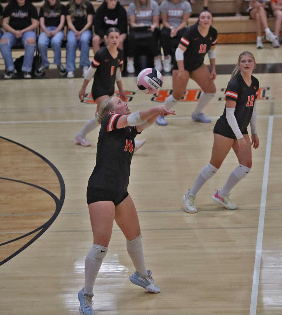 Payton Mohr