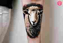 Realistic 3D effect sheep tattoo on the forearm of a woman