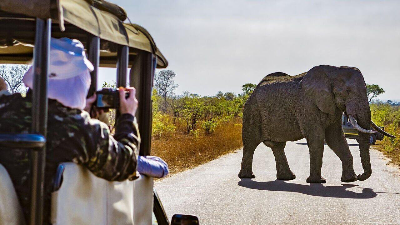 Top Destinations for Biophilia Travel Explore the Best Wildlife