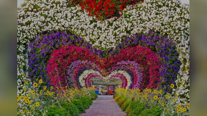 Dubai Miracle Garden. Instagram.com/@dubaimiraclegarden
