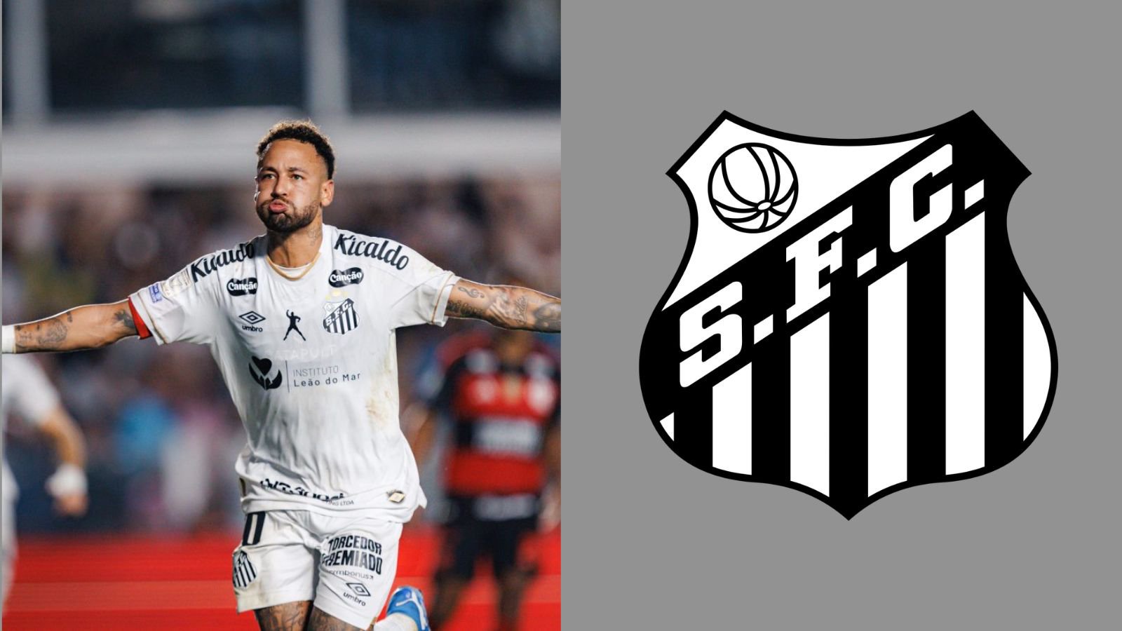 Foto: Raul Baretta / Santos FC
