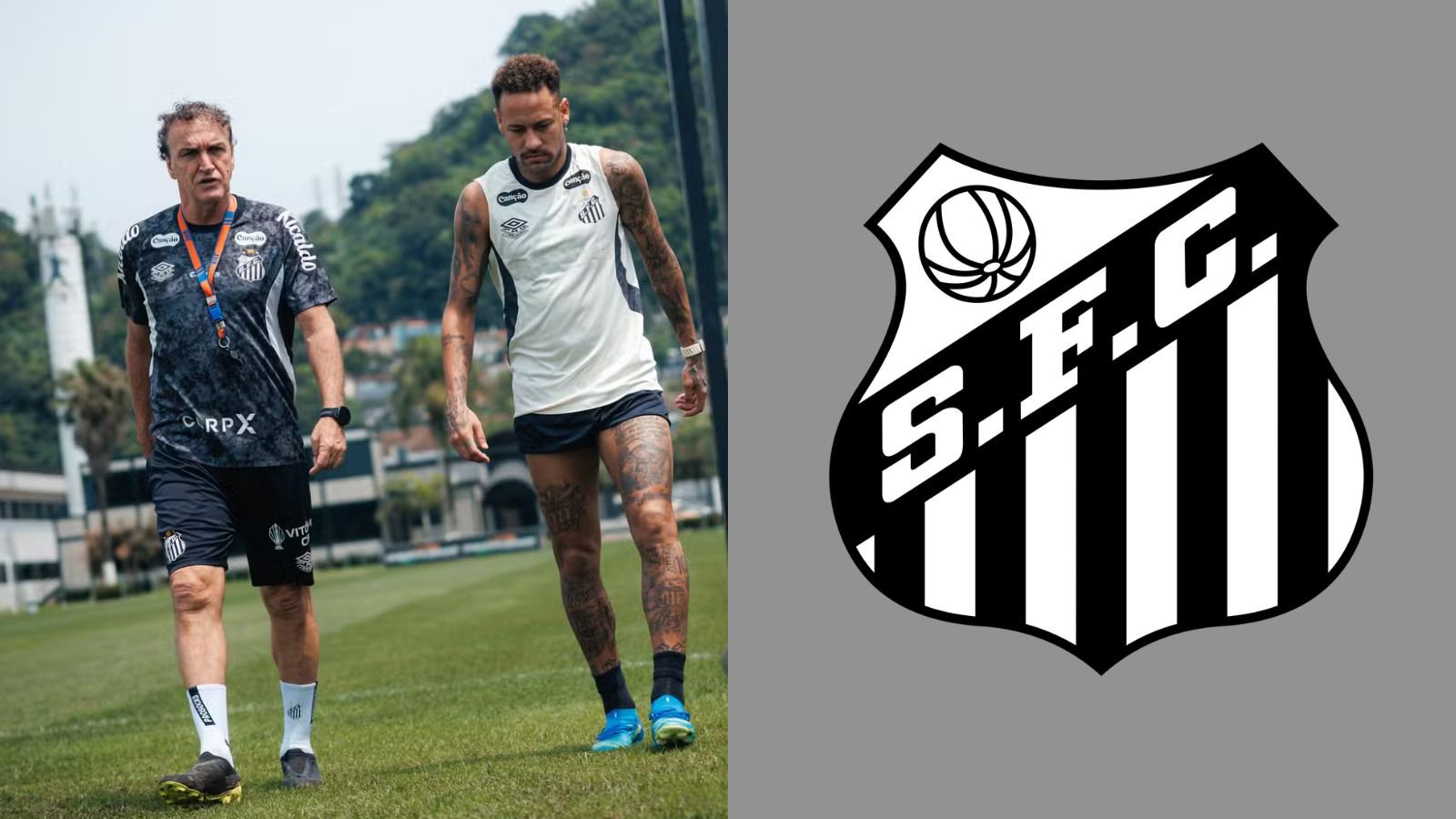 Foto: Raul Baretta / Santos FC