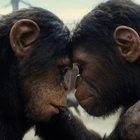 ‘Kingdom Of The Planet Of The Apes’ Targets $140 Million Box Office
