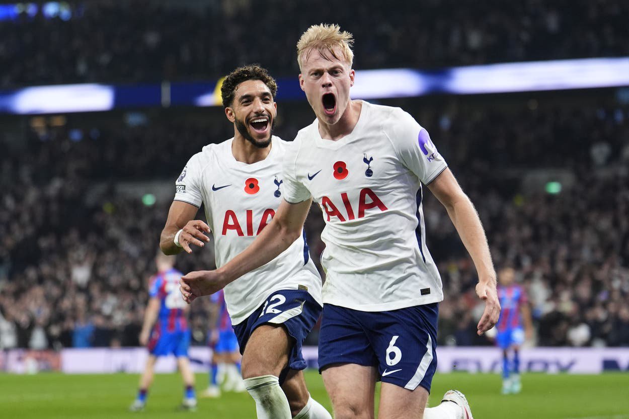Jan Paul van Hecke (right) doubled Tottenham’s lead over Crystal Palace (Jordan Pettitt/PA)