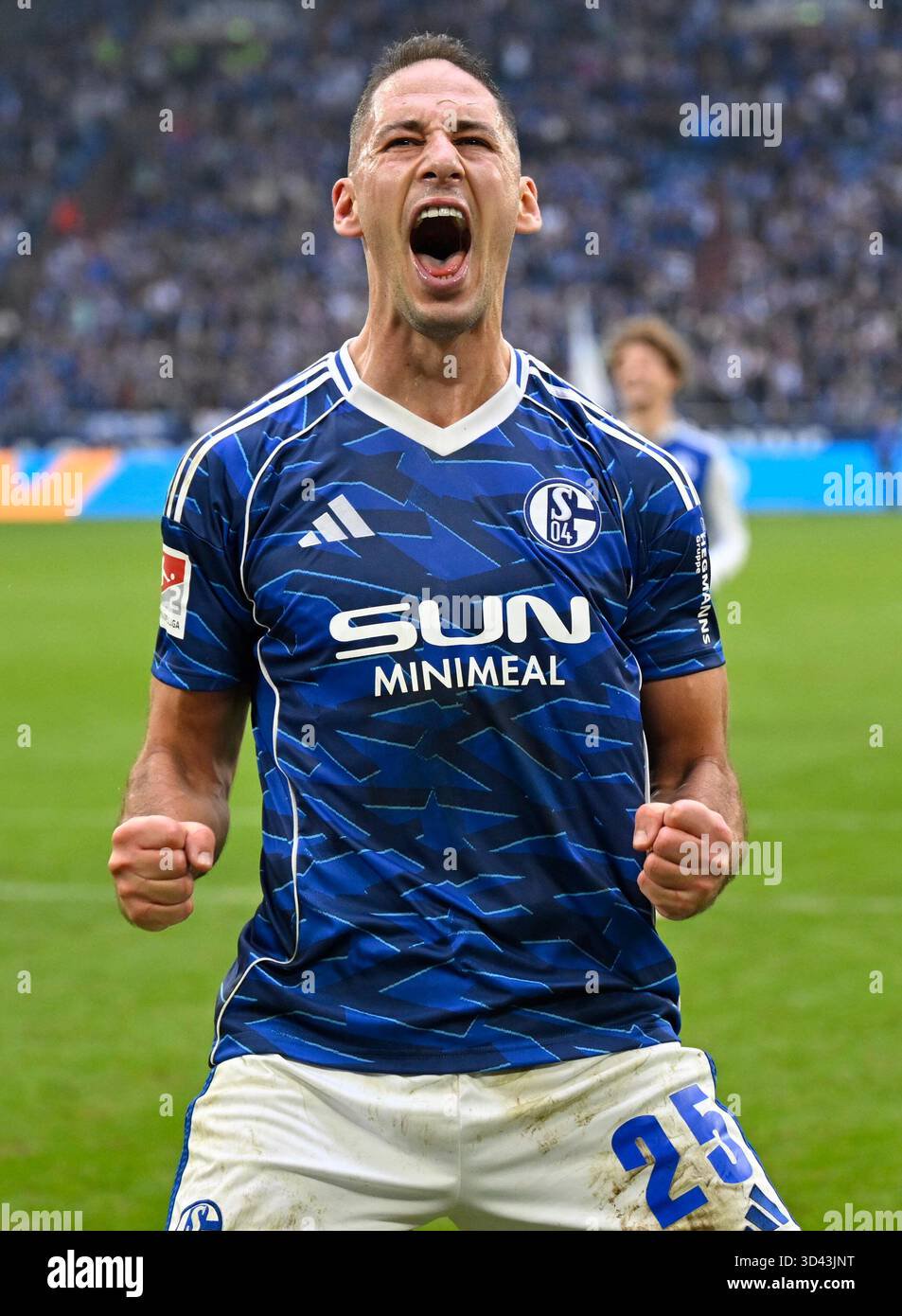 Celebration nikola katic schalke gelsenkirchen november soccer bundesliga bundesliga second division schalke sv elversberg