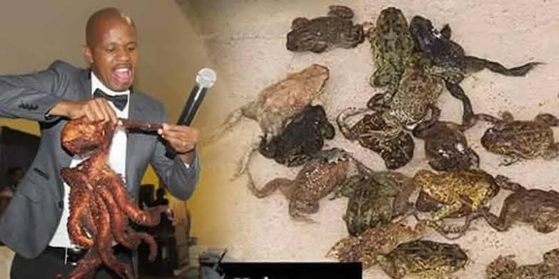 ae32d26800caabb69d6071924a51e30f?source=nlp&quality=hq&format=webp&resize=720