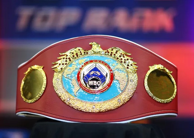 Wbo Belt