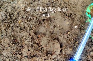 WhatsApp Image 2022 08 23 at 10.44.51 PM