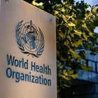 WHO chief scientist calls for increased monitoring and preparation for highly pathogenic bird flu