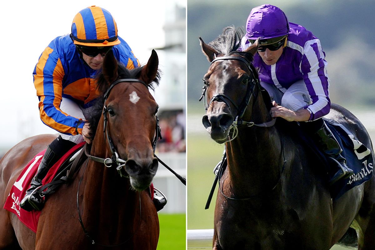 Constitution River (left) and Gstaad: produced below par runs on latest starts