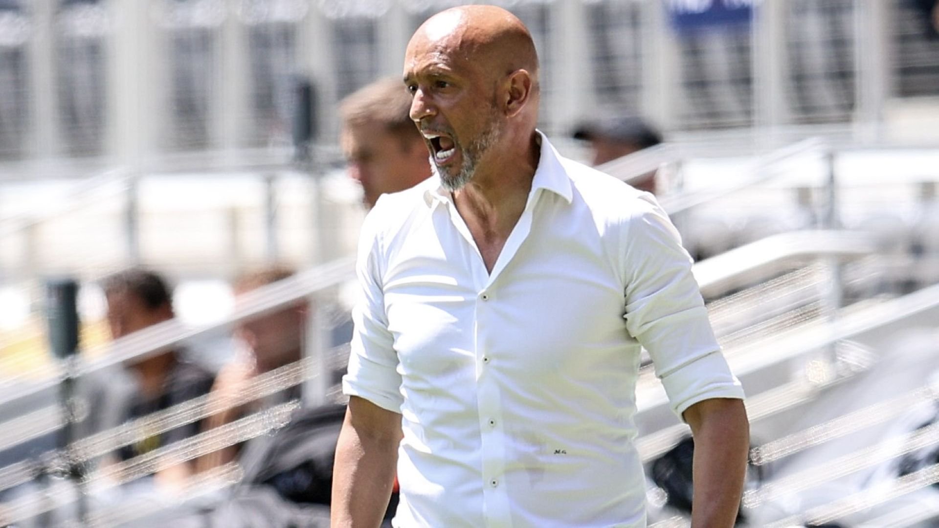 Miguel Cardoso, Mamelodi Sundowns