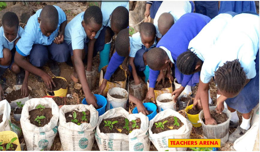 Ruto aide calls for removal of TPD, TPAD, CBC say they mess teachers creativity