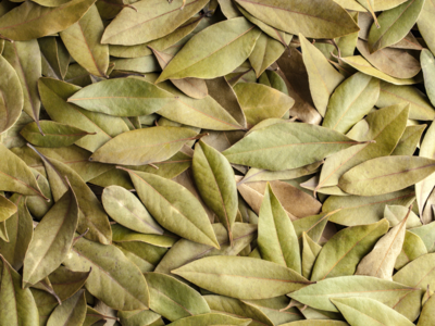 ​Lowering blood sugar levels and improving insulin sensitivity