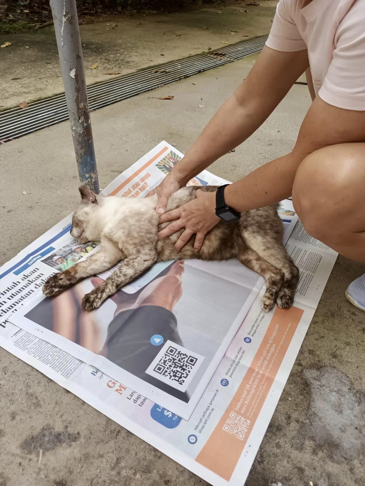 b204b27bae6ec8c0e7d6d3b4552283e6