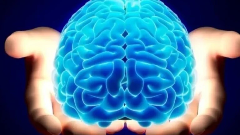 1000307608 1280x720 1 1280x720 2 768x432 5