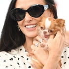 Demi Moore brings dog Pilaf to 'The Substance' photocall