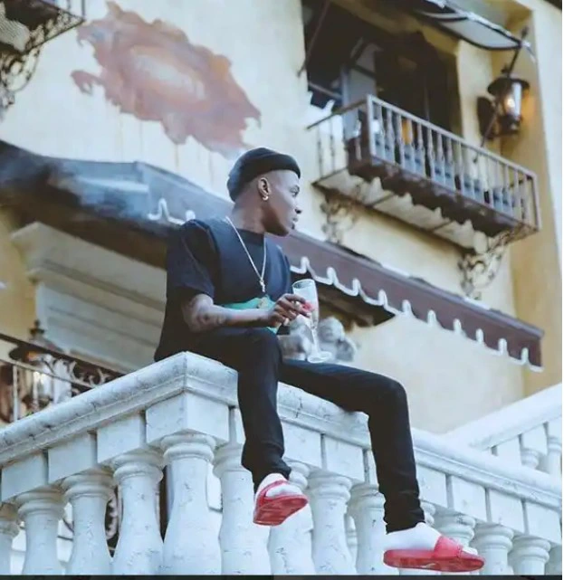 See The Houses Owned By The Starboy Wizkid In Nigeria And USA (PHOTOS ...