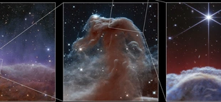 A horse-shaped nebula gets its close-up in new photos by NASA’s Webb telescope