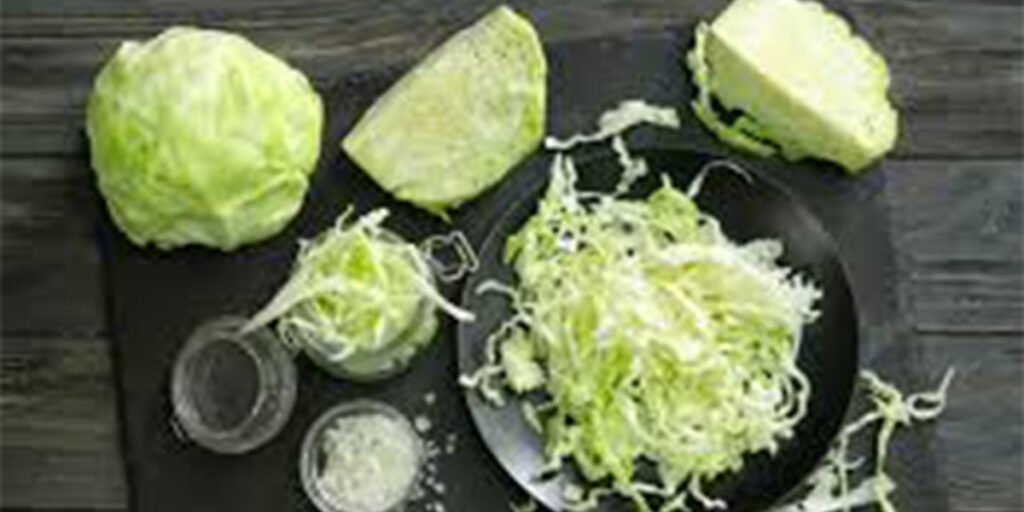 cabbage