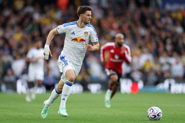 Anton Stach