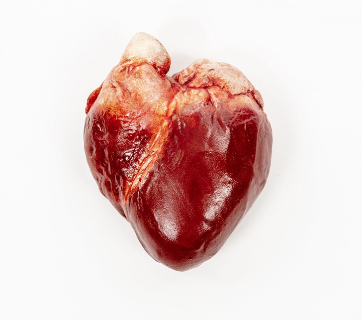 Chocolate Human Heart | Edible Museum | Realistic Chocolate Body Parts