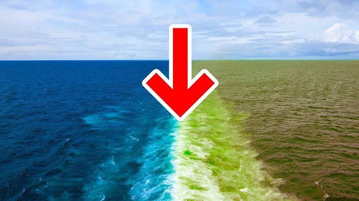 The Main Reason Why Atlantic and Pacific Oceans Waters Don't Mix