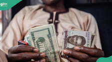 Banks, Traders Hike Dollar Exchange Rate As Naira Crashes Again