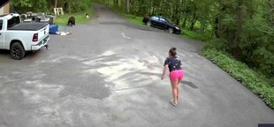Heart-pounding video shows bear chase dog, then Minnesota woman in driveway: 'Lunged at me'