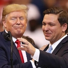 Will Trump lose his right to vote after felony conviction? DeSantis weighs in