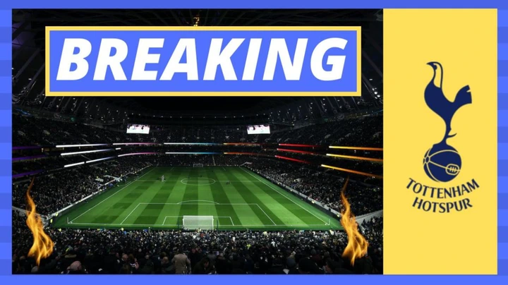 Tottenham expert: Movement on transfers expected next week