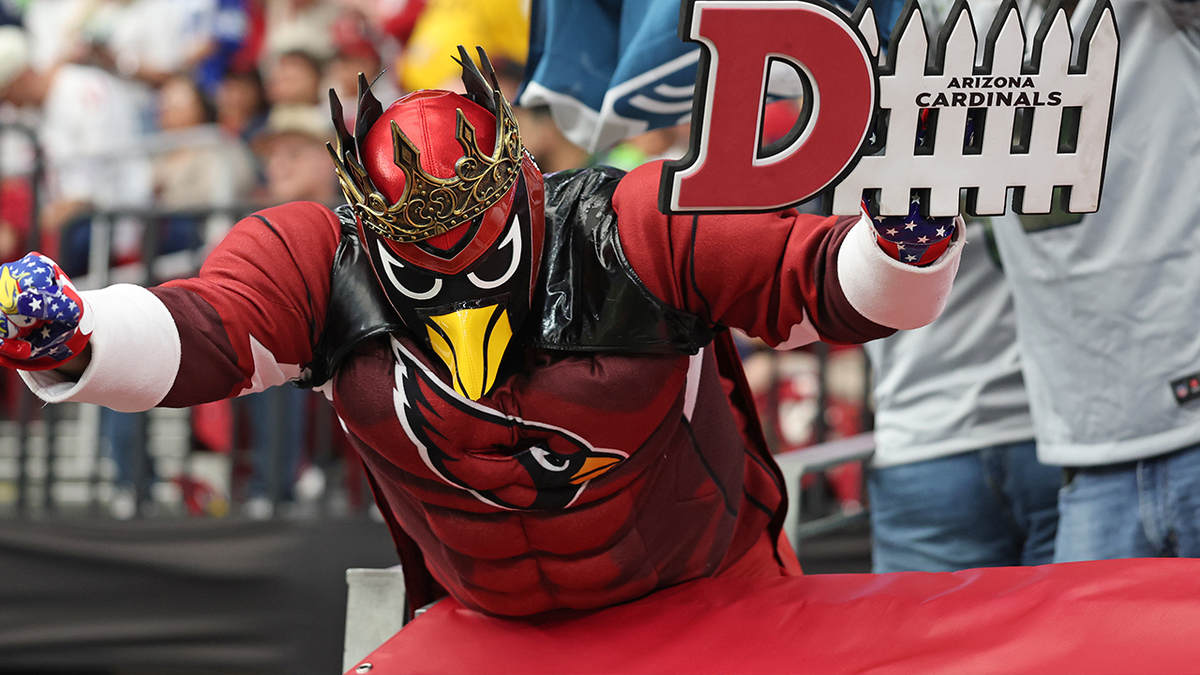 Arizona Cardinals fan
