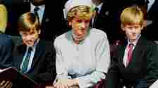 William and Harry won't inherit mum Diana's childhood home