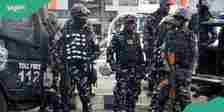 Two Female Bombers Linked to Deadly Borno Wedding Attack Arrested