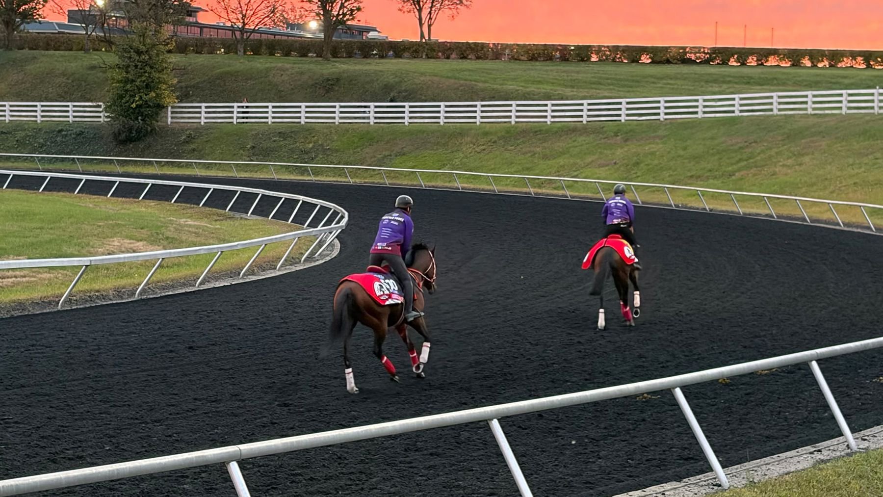 A glorious morning in Keeneland