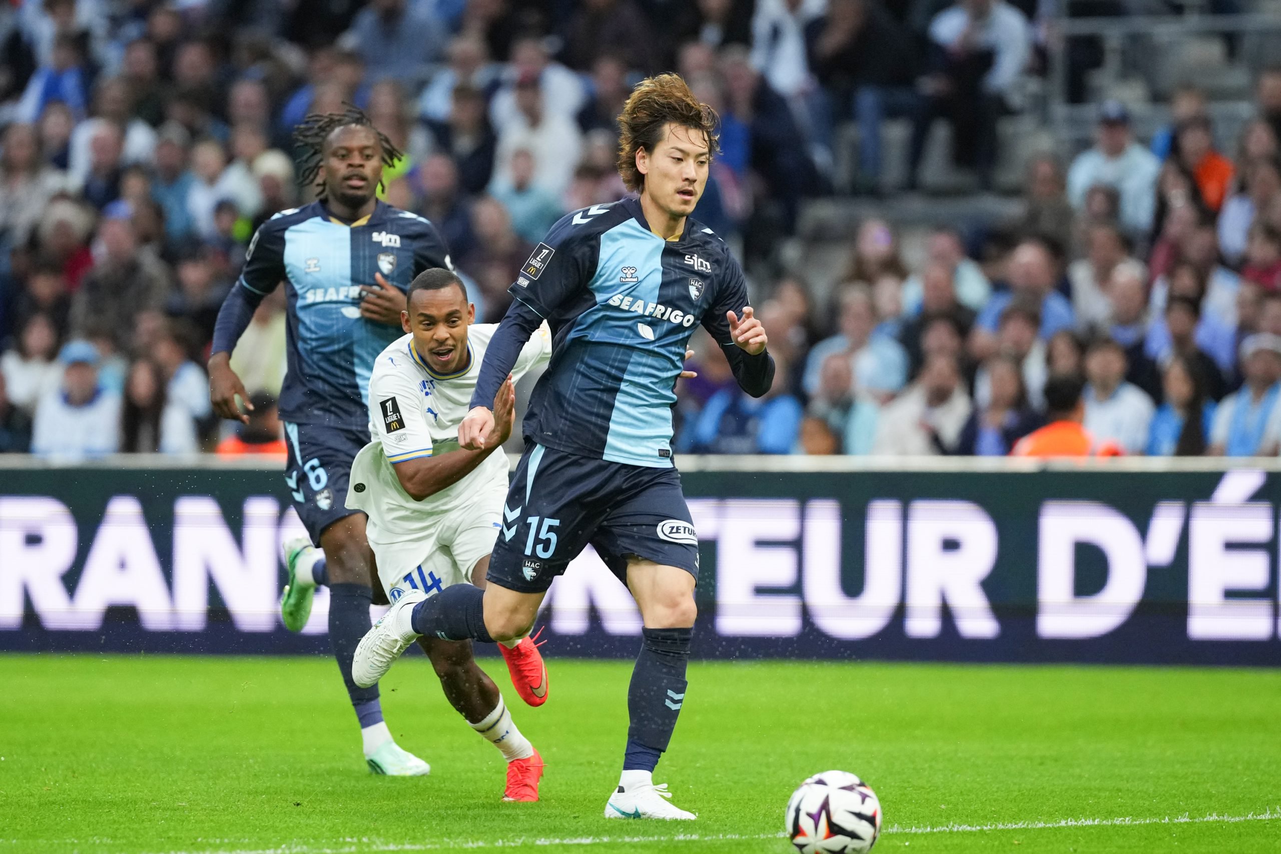 OM-Le-Havre