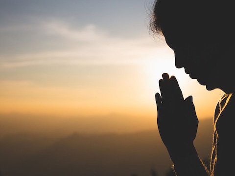 संसार में सभी प्राणियों को वंदनीय और अभिवादन योग्य माना गया है. 