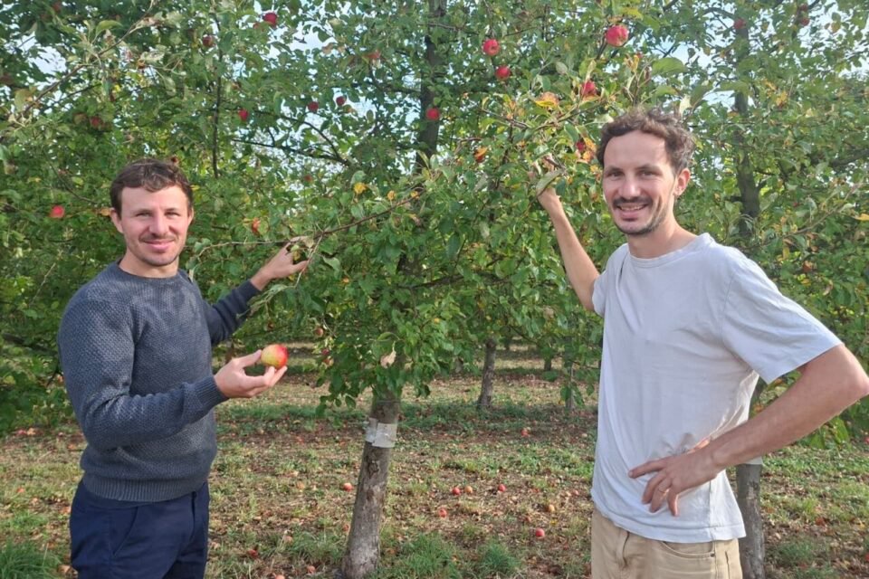 Les frères Théo et Robin Lhommeau ont grandi au domaine de la mare à Sargé-lès-Le Mans (Sarthe). Ils reprennent le flambeau de leur père.