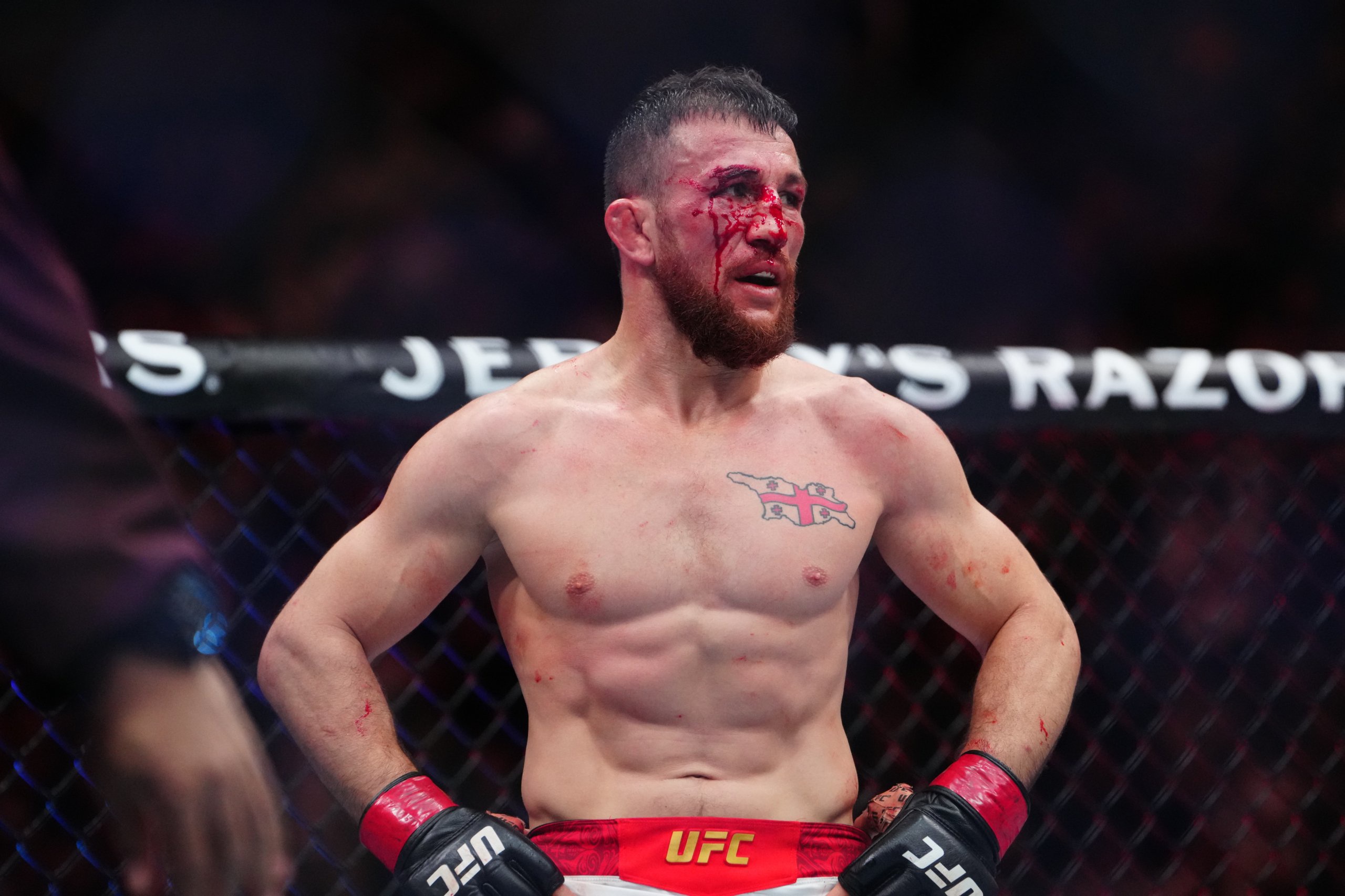 MMA: UFC 323 - Dvalishvili vs Yan