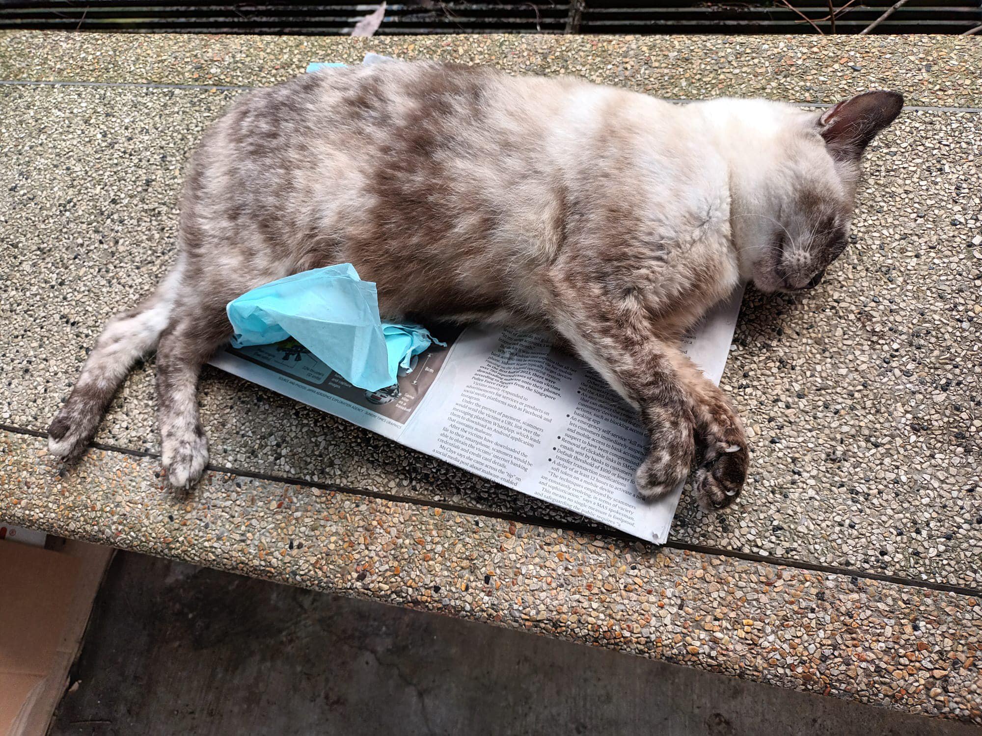 bc5231de4166e61daa3aa3725774849b