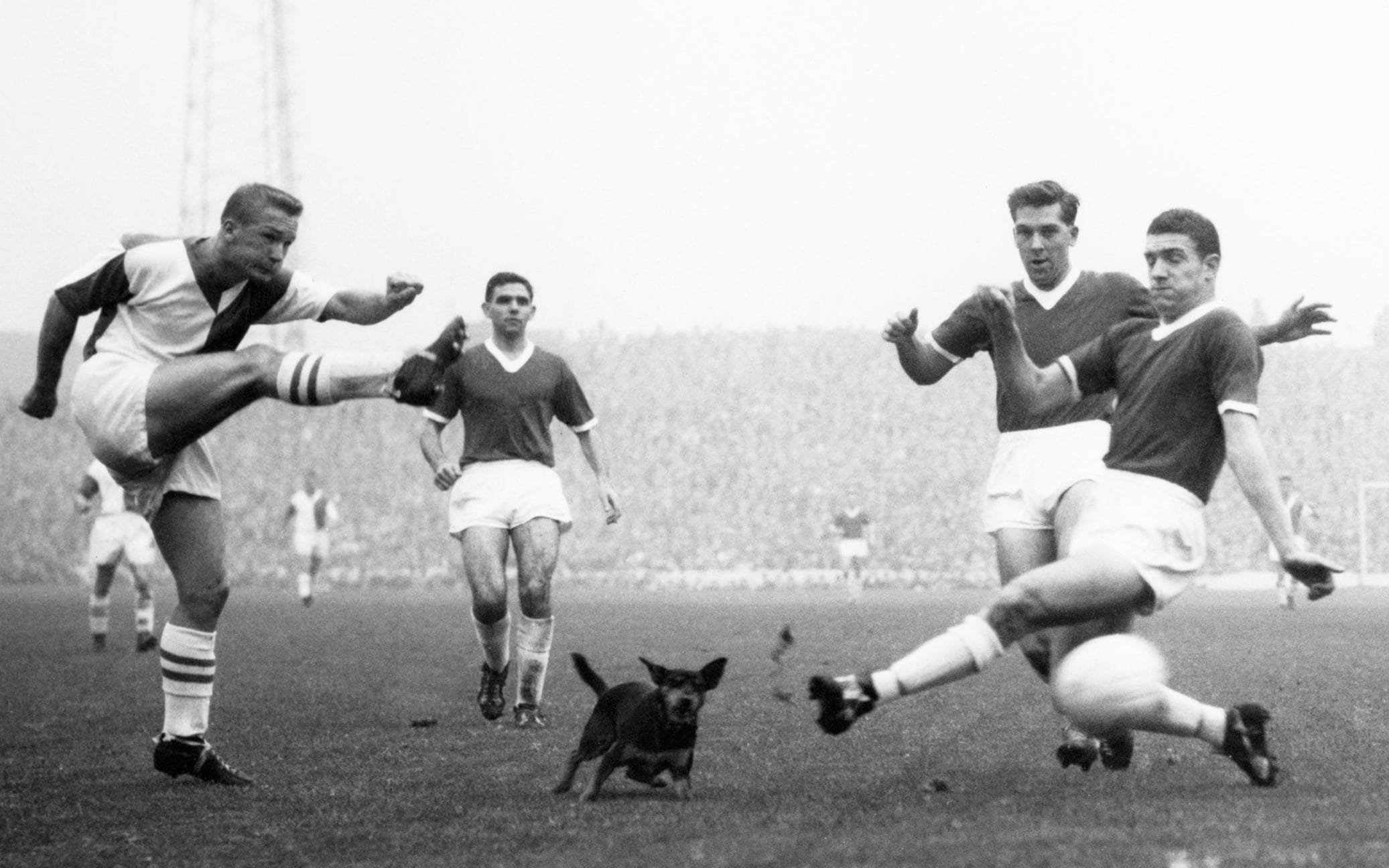 Dobing shoots past the Manchester United defenders Ronnie Cope, left, and Bill Foulkes, plus a stray dog, at Ewood Park in 1959